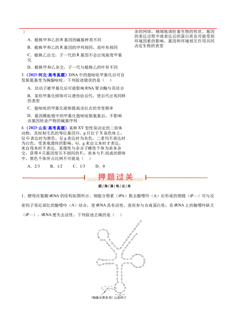 押新高考卷遗传的分子基础（原卷版）-备战2024年高考生物临考题号押题（新高考通用）_2024年新高考资料_5.2024三轮冲刺_备战2024年高考生物临考题号押题（新高考通用）322745222