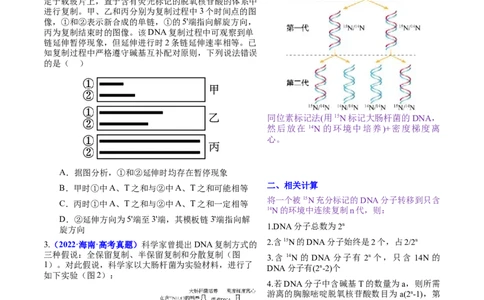 押新高考卷遗传的分子基础（原卷版）-备战2024年高考生物临考题号押题（新高考通用）_2024年新高考资料_5.2024三轮冲刺_备战2024年高考生物临考题号押题（新高考通用）322745222
