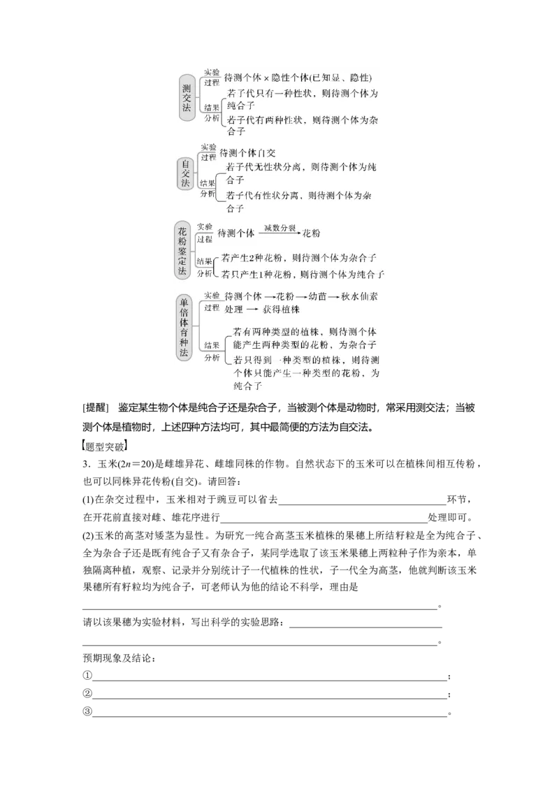 2023年高考生物一轮复习（新人教新高考）第5单元第2课时　基因分离定律重点题型突破_新高考复习资料_2023年新高考复习资料_一轮复习_2023年新高考大一轮复习讲义