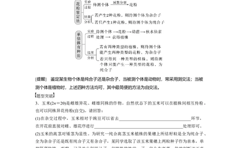 2023年高考生物一轮复习（新人教新高考）第5单元第2课时　基因分离定律重点题型突破_新高考复习资料_2023年新高考复习资料_一轮复习_2023年新高考大一轮复习讲义