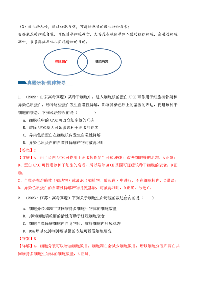 第06讲细胞的分化、衰老和死亡（讲义）解析版_2024年新高考资料_2.2024二轮复习_2024年高考生物二轮复习讲练测（新教材新高考）