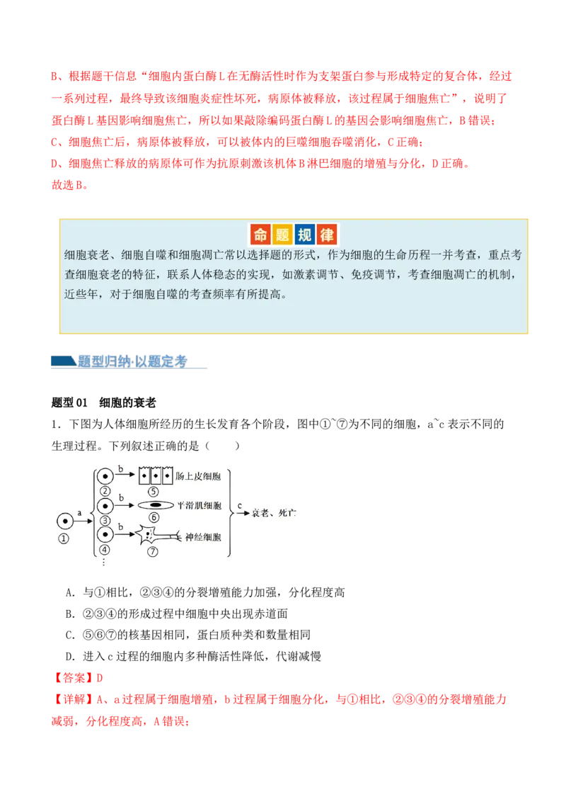 第06讲细胞的分化、衰老和死亡（讲义）解析版_2024年新高考资料_2.2024二轮复习_2024年高考生物二轮复习讲练测（新教材新高考）