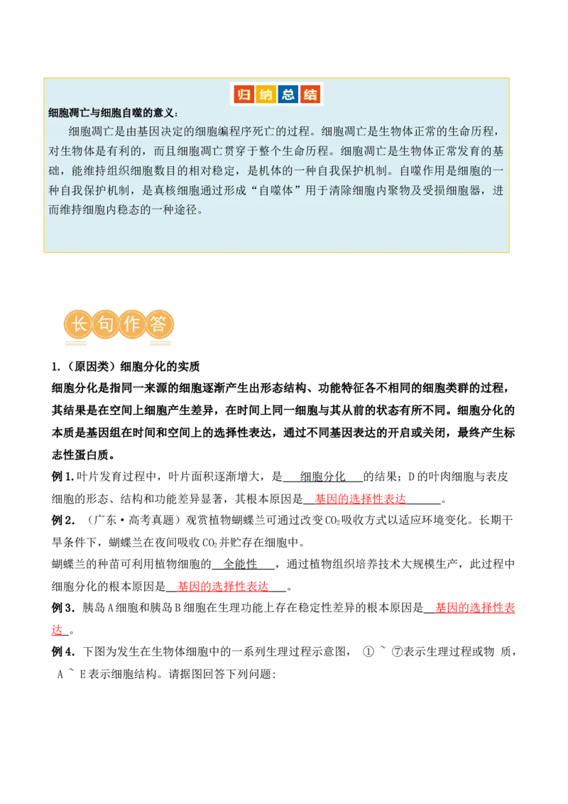 第06讲细胞的分化、衰老和死亡（讲义）解析版_2024年新高考资料_2.2024二轮复习_2024年高考生物二轮复习讲练测（新教材新高考）
