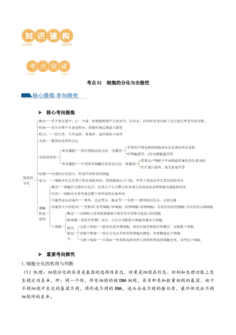 第06讲细胞的分化、衰老和死亡（讲义）解析版_2024年新高考资料_2.2024二轮复习_2024年高考生物二轮复习讲练测（新教材新高考）