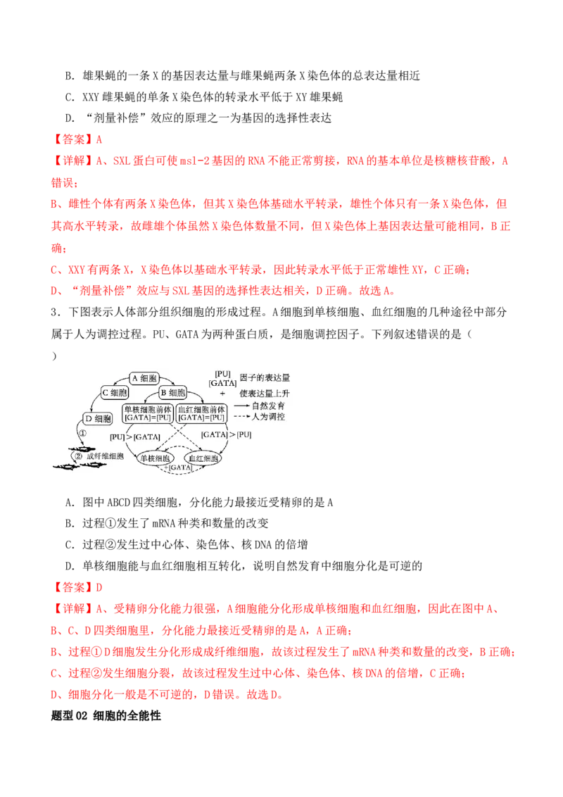 第06讲细胞的分化、衰老和死亡（讲义）解析版_2024年新高考资料_2.2024二轮复习_2024年高考生物二轮复习讲练测（新教材新高考）