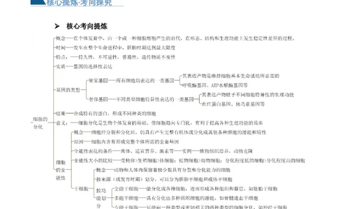 第06讲细胞的分化、衰老和死亡（讲义）解析版_2024年新高考资料_2.2024二轮复习_2024年高考生物二轮复习讲练测（新教材新高考）