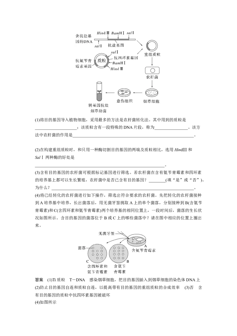2023年高考生物一轮复习（全国版）第10单元第1课时　基因工程的基本工具和基本操作程序_通用版（老高考）复习资料_2023年复习资料_一轮复习_2023年高考生物一轮复习讲义（全国版）