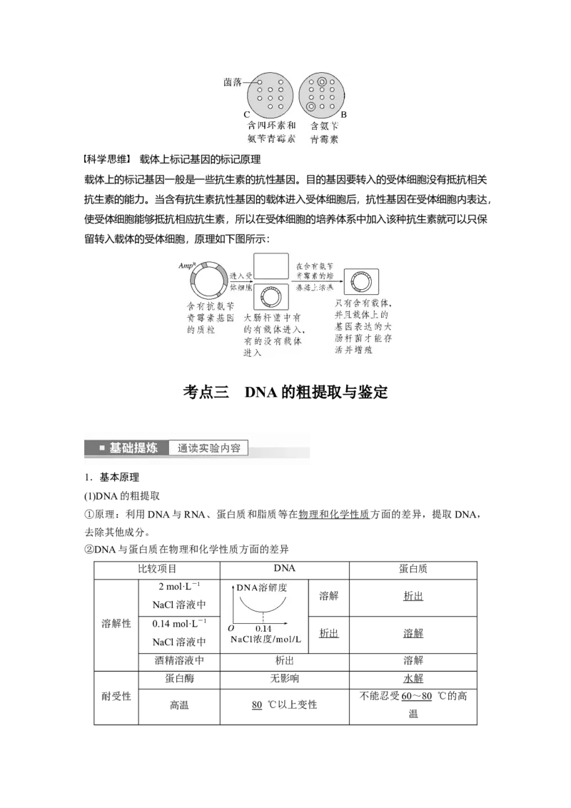 2023年高考生物一轮复习（全国版）第10单元第1课时　基因工程的基本工具和基本操作程序_通用版（老高考）复习资料_2023年复习资料_一轮复习_2023年高考生物一轮复习讲义（全国版）