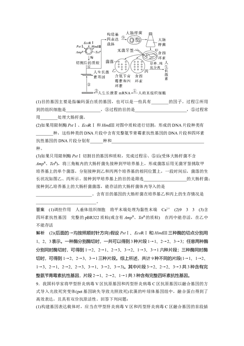 2023年高考生物一轮复习（全国版）第10单元第1课时　基因工程的基本工具和基本操作程序_通用版（老高考）复习资料_2023年复习资料_一轮复习_2023年高考生物一轮复习讲义（全国版）