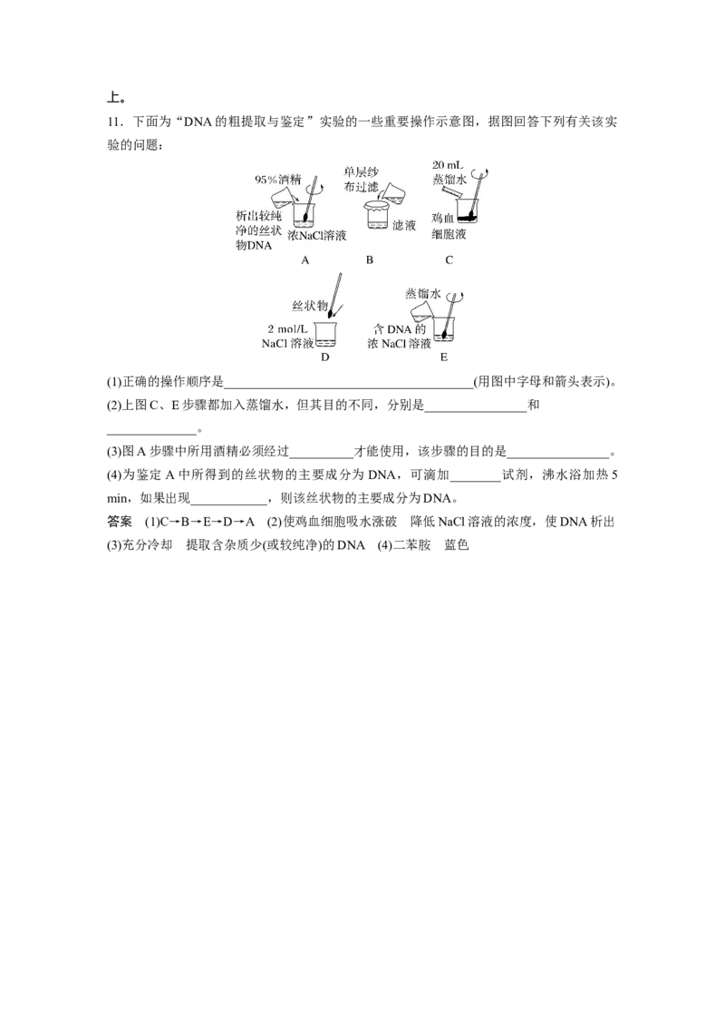 2023年高考生物一轮复习（全国版）第10单元第1课时　基因工程的基本工具和基本操作程序_通用版（老高考）复习资料_2023年复习资料_一轮复习_2023年高考生物一轮复习讲义（全国版）