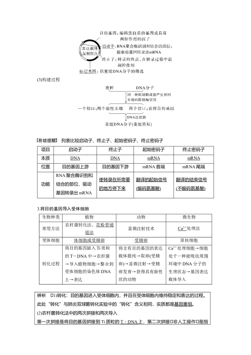 2023年高考生物一轮复习（全国版）第10单元第1课时　基因工程的基本工具和基本操作程序_通用版（老高考）复习资料_2023年复习资料_一轮复习_2023年高考生物一轮复习讲义（全国版）
