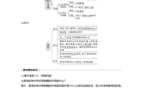 2023年高考生物一轮复习（全国版）第10单元第1课时　基因工程的基本工具和基本操作程序_通用版（老高考）复习资料_2023年复习资料_一轮复习_2023年高考生物一轮复习讲义（全国版）
