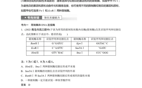 2023年高考生物一轮复习（全国版）第10单元第1课时　基因工程的基本工具和基本操作程序_通用版（老高考）复习资料_2023年复习资料_一轮复习_2023年高考生物一轮复习讲义（全国版）