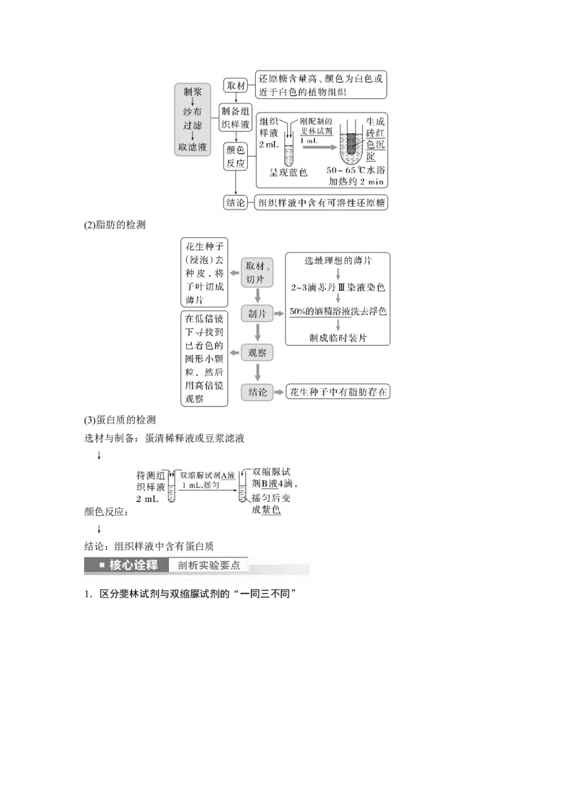 2023年高考生物一轮复习（新人教新高考）第1单元第2课时　细胞中的无机物、糖类和脂质_新高考复习资料_2023年新高考复习资料_一轮复习_2023年新高考大一轮复习讲义