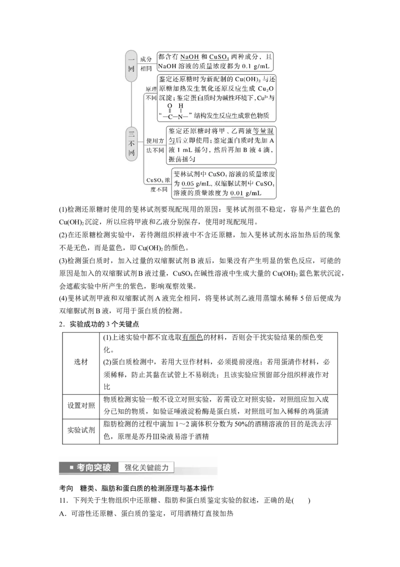 2023年高考生物一轮复习（新人教新高考）第1单元第2课时　细胞中的无机物、糖类和脂质_新高考复习资料_2023年新高考复习资料_一轮复习_2023年新高考大一轮复习讲义