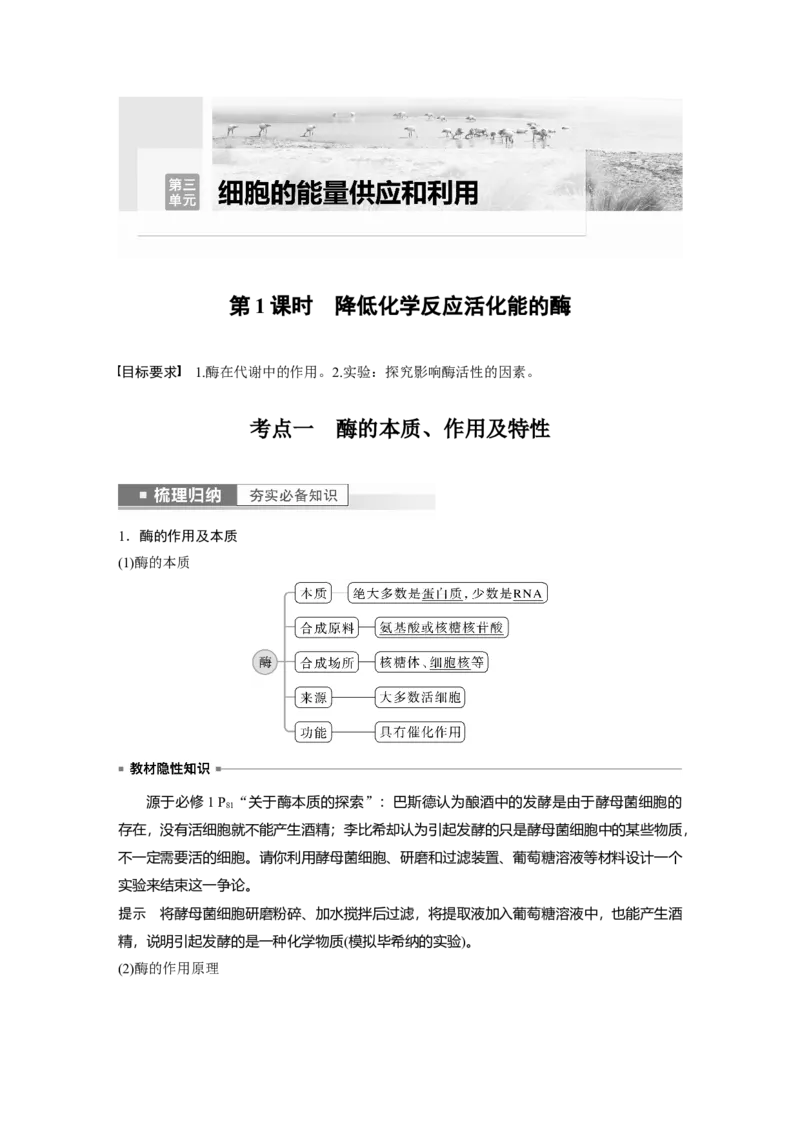 2023年高考生物一轮复习（全国版）第3单元第1课时　降低化学反应活化能的酶_通用版（老高考）复习资料_2023年复习资料_一轮复习_2023年高考生物一轮复习讲义+课件（全国版）