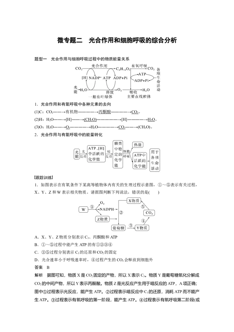 2023年高考生物一轮复习（全国版）第3单元微专题二　光合作用和细胞呼吸的综合分析_通用版（老高考）复习资料_2023年复习资料_一轮复习_2023年高考生物一轮复习讲义+课件（全国版）