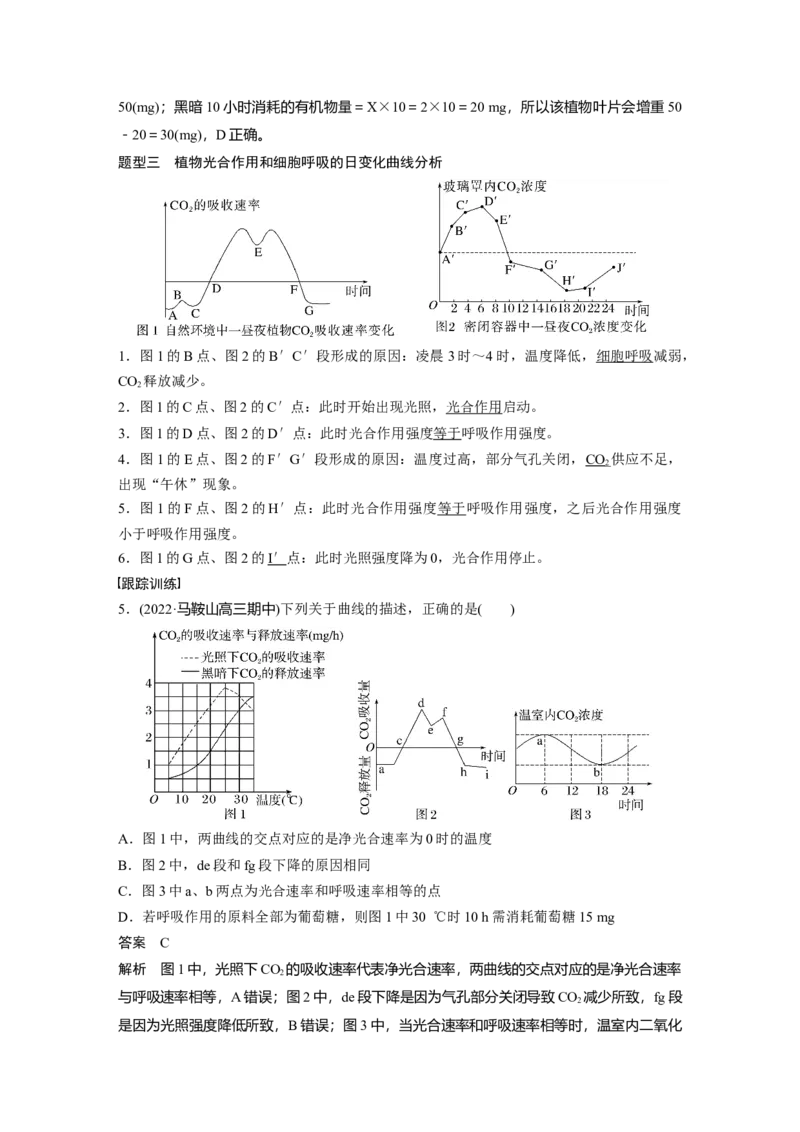 2023年高考生物一轮复习（全国版）第3单元微专题二　光合作用和细胞呼吸的综合分析_通用版（老高考）复习资料_2023年复习资料_一轮复习_2023年高考生物一轮复习讲义+课件（全国版）