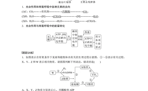 2023年高考生物一轮复习（全国版）第3单元微专题二　光合作用和细胞呼吸的综合分析_通用版（老高考）复习资料_2023年复习资料_一轮复习_2023年高考生物一轮复习讲义+课件（全国版）