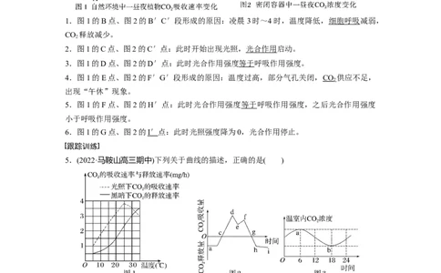 2023年高考生物一轮复习（全国版）第3单元微专题二　光合作用和细胞呼吸的综合分析_通用版（老高考）复习资料_2023年复习资料_一轮复习_2023年高考生物一轮复习讲义+课件（全国版）