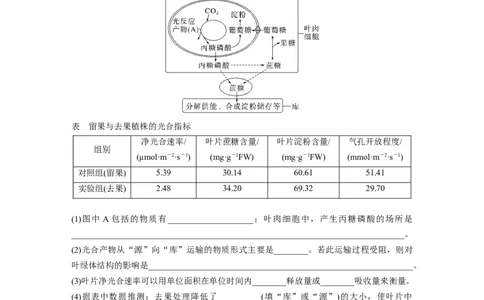 2023年高考生物二轮复习（全国版）第3篇考前特训专项三(一)细胞代谢_通用版（老高考）复习资料_2023年复习资料_二轮复习_2023年高考生物二轮复习讲义+课件（全国版）