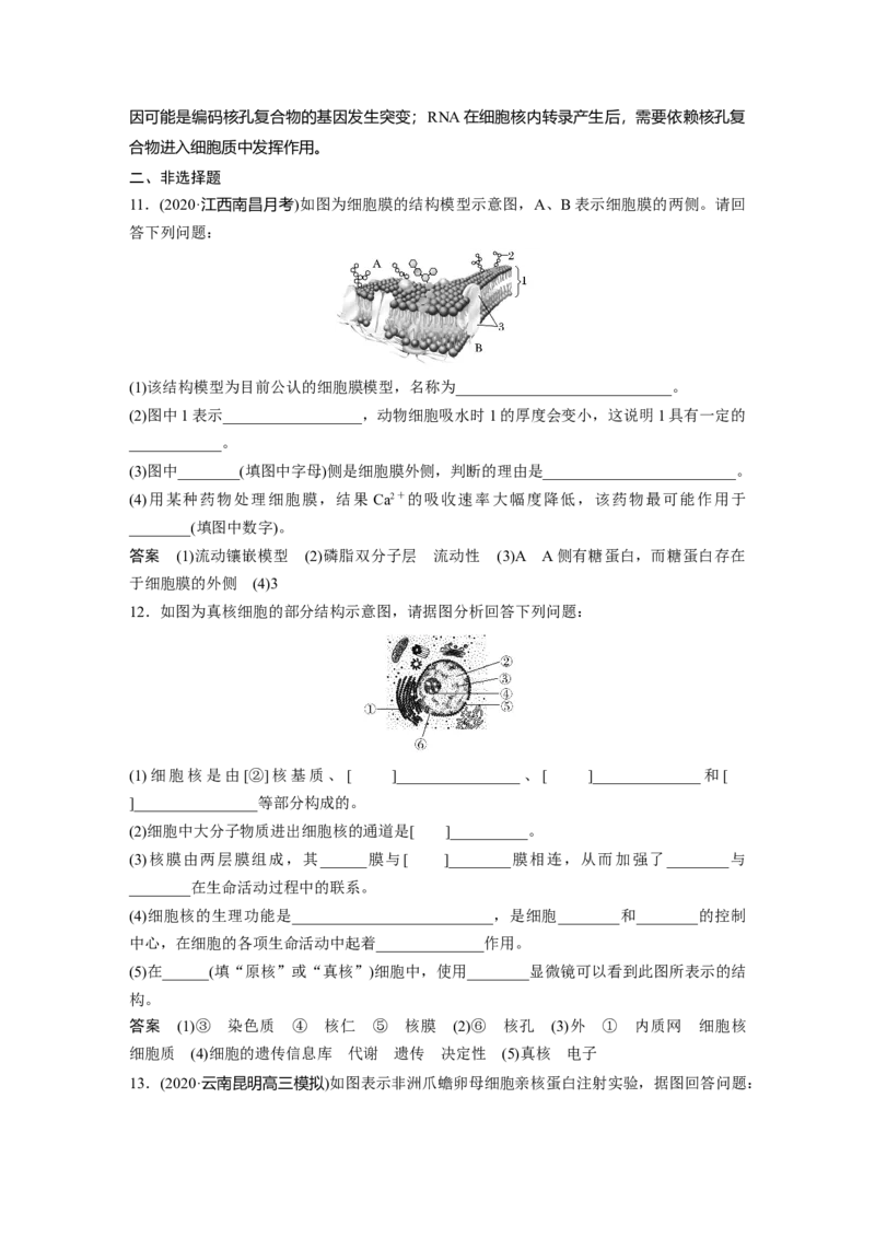 2022年高考生物一轮复习第2单元第4讲　细胞膜和细胞核_新高考复习资料_2022年新高考复习资料_2022年一轮复习最新版_1.2022年高考生物一轮复习全国通用版