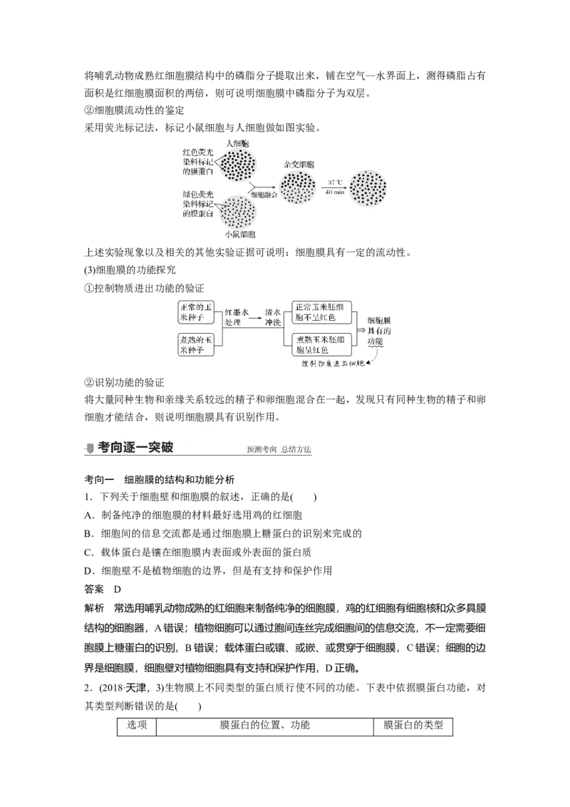 2022年高考生物一轮复习第2单元第4讲　细胞膜和细胞核_新高考复习资料_2022年新高考复习资料_2022年一轮复习最新版_1.2022年高考生物一轮复习全国通用版