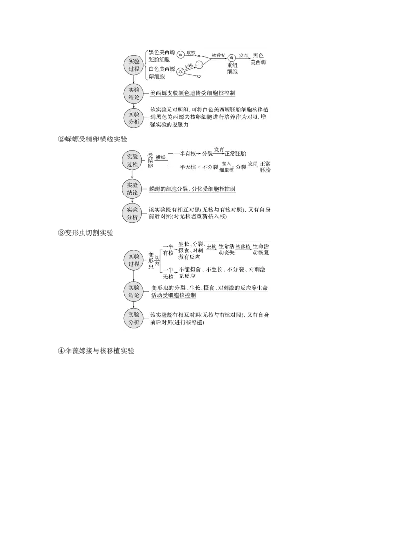 2022年高考生物一轮复习第2单元第4讲　细胞膜和细胞核_新高考复习资料_2022年新高考复习资料_2022年一轮复习最新版_1.2022年高考生物一轮复习全国通用版