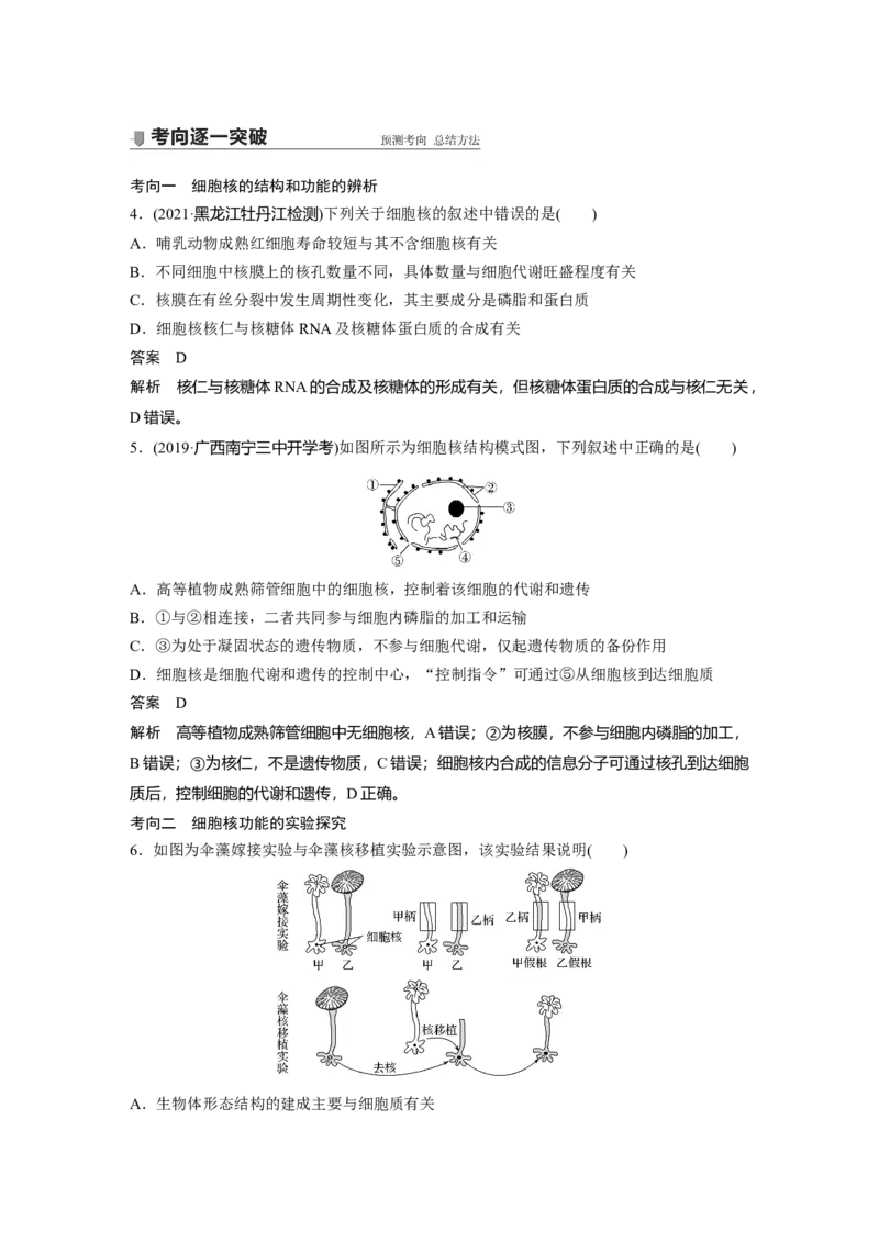 2022年高考生物一轮复习第2单元第4讲　细胞膜和细胞核_新高考复习资料_2022年新高考复习资料_2022年一轮复习最新版_1.2022年高考生物一轮复习全国通用版