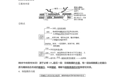 2022年高考生物一轮复习第2单元第4讲　细胞膜和细胞核_新高考复习资料_2022年新高考复习资料_2022年一轮复习最新版_1.2022年高考生物一轮复习全国通用版
