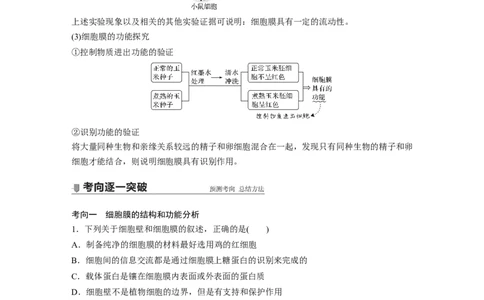 2022年高考生物一轮复习第2单元第4讲　细胞膜和细胞核_新高考复习资料_2022年新高考复习资料_2022年一轮复习最新版_1.2022年高考生物一轮复习全国通用版