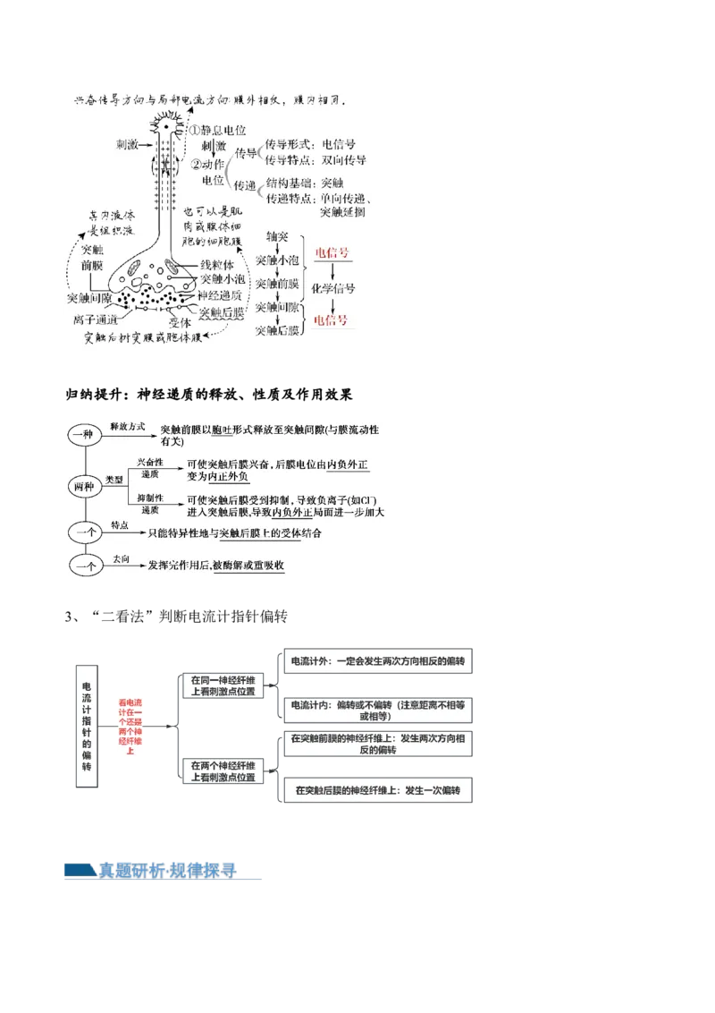 第11讲神经调节和体液调节（讲义）-原卷版_2024年新高考资料_2.2024二轮复习_2024年高考生物二轮复习讲练测（新教材新高考）