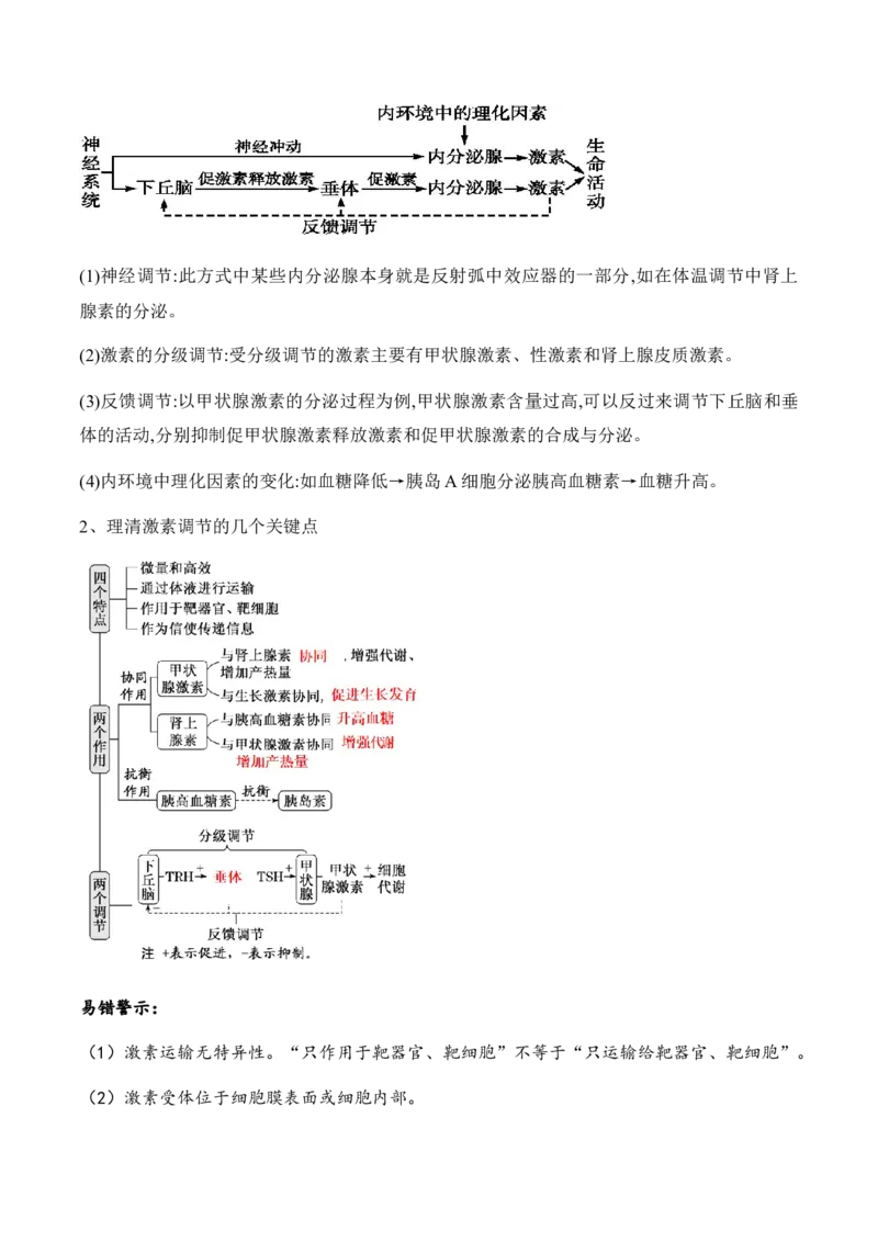 第11讲神经调节和体液调节（讲义）-原卷版_2024年新高考资料_2.2024二轮复习_2024年高考生物二轮复习讲练测（新教材新高考）