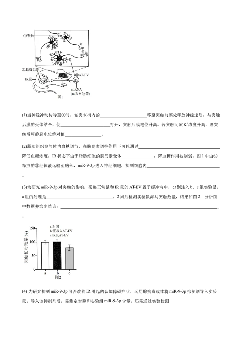 第11讲神经调节和体液调节（讲义）-原卷版_2024年新高考资料_2.2024二轮复习_2024年高考生物二轮复习讲练测（新教材新高考）