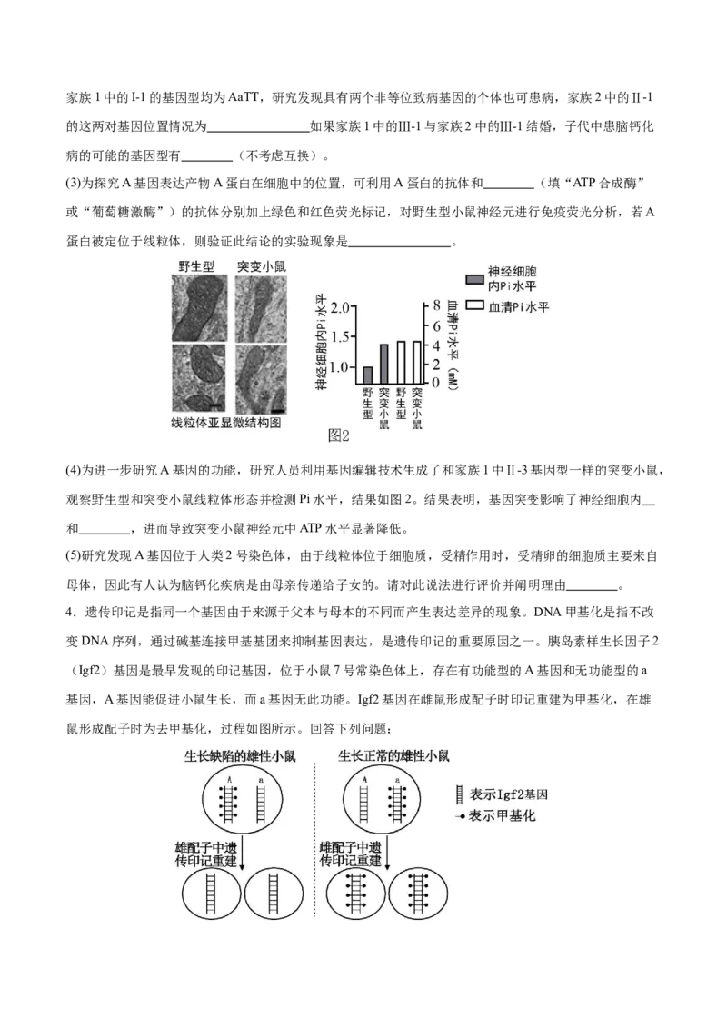 押新高考卷遗传与进化（原卷版）-备战2024年高考生物临考题号押题（新高考通用）_2024年新高考资料_5.2024三轮冲刺_备战2024年高考生物临考题号押题（新高考通用）322745222_133