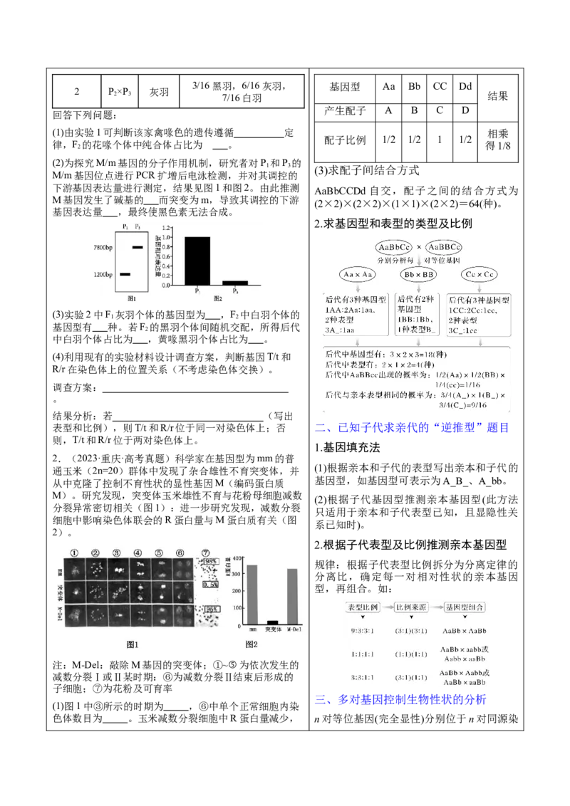 押新高考卷遗传与进化（原卷版）-备战2024年高考生物临考题号押题（新高考通用）_2024年新高考资料_5.2024三轮冲刺_备战2024年高考生物临考题号押题（新高考通用）322745222_133