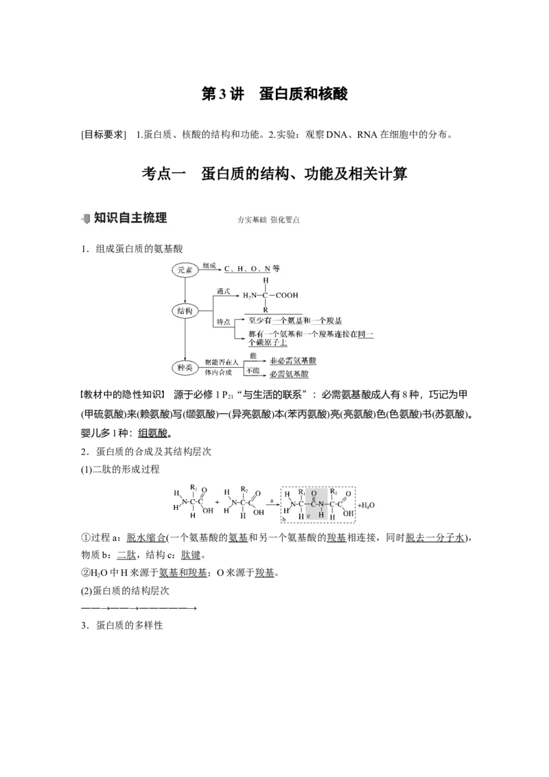 2022年高考生物一轮复习第1单元第3讲　蛋白质和核酸_新高考复习资料_2022年新高考复习资料_2022年一轮复习最新版_1.2022年高考生物一轮复习全国通用版