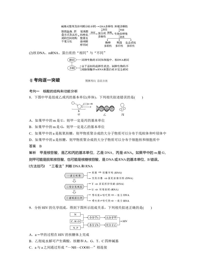 2022年高考生物一轮复习第1单元第3讲　蛋白质和核酸_新高考复习资料_2022年新高考复习资料_2022年一轮复习最新版_1.2022年高考生物一轮复习全国通用版