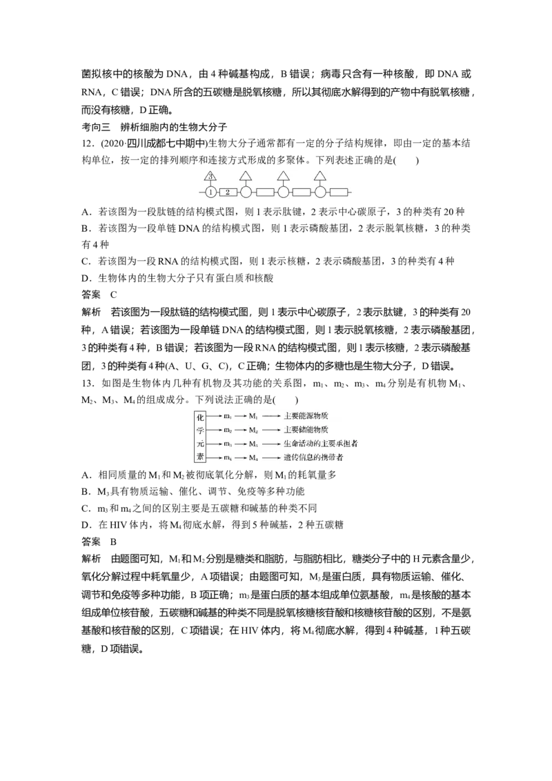 2022年高考生物一轮复习第1单元第3讲　蛋白质和核酸_新高考复习资料_2022年新高考复习资料_2022年一轮复习最新版_1.2022年高考生物一轮复习全国通用版