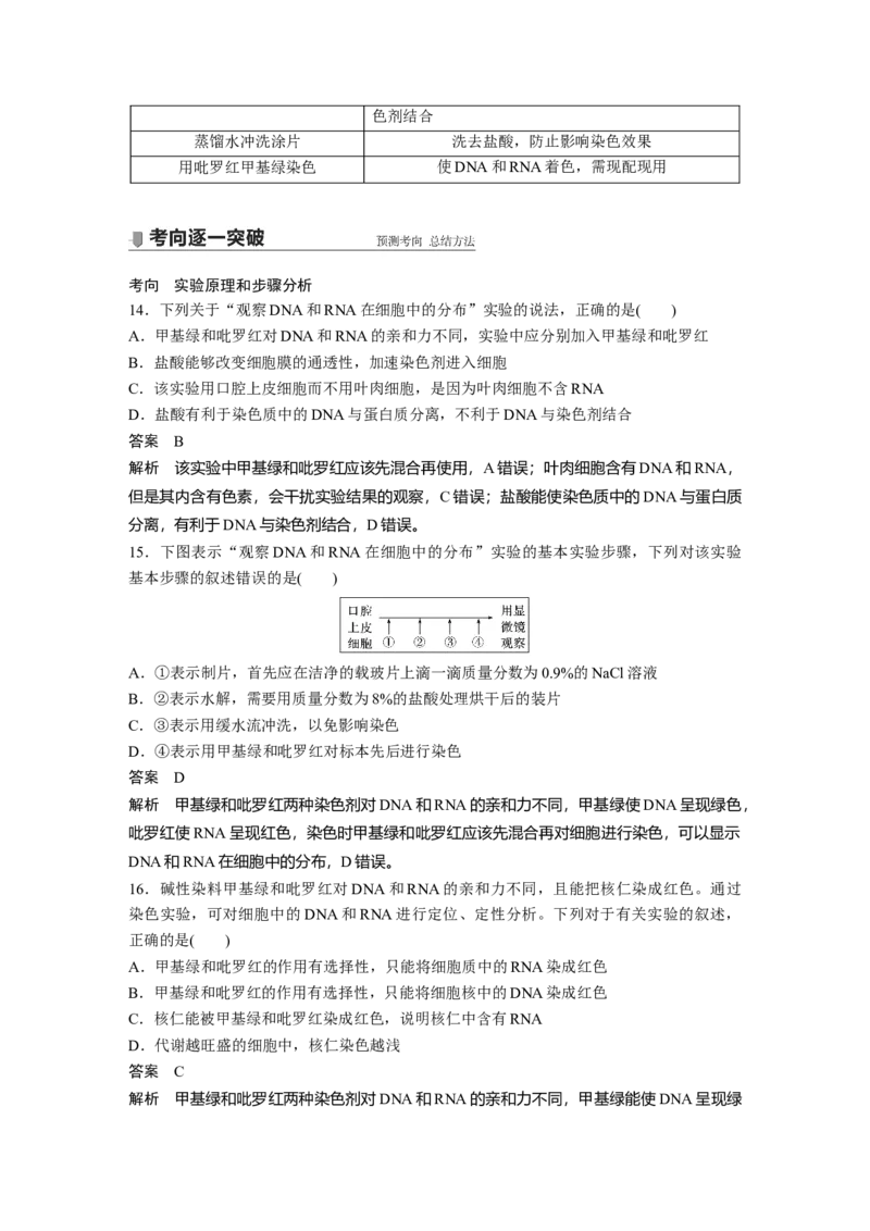 2022年高考生物一轮复习第1单元第3讲　蛋白质和核酸_新高考复习资料_2022年新高考复习资料_2022年一轮复习最新版_1.2022年高考生物一轮复习全国通用版