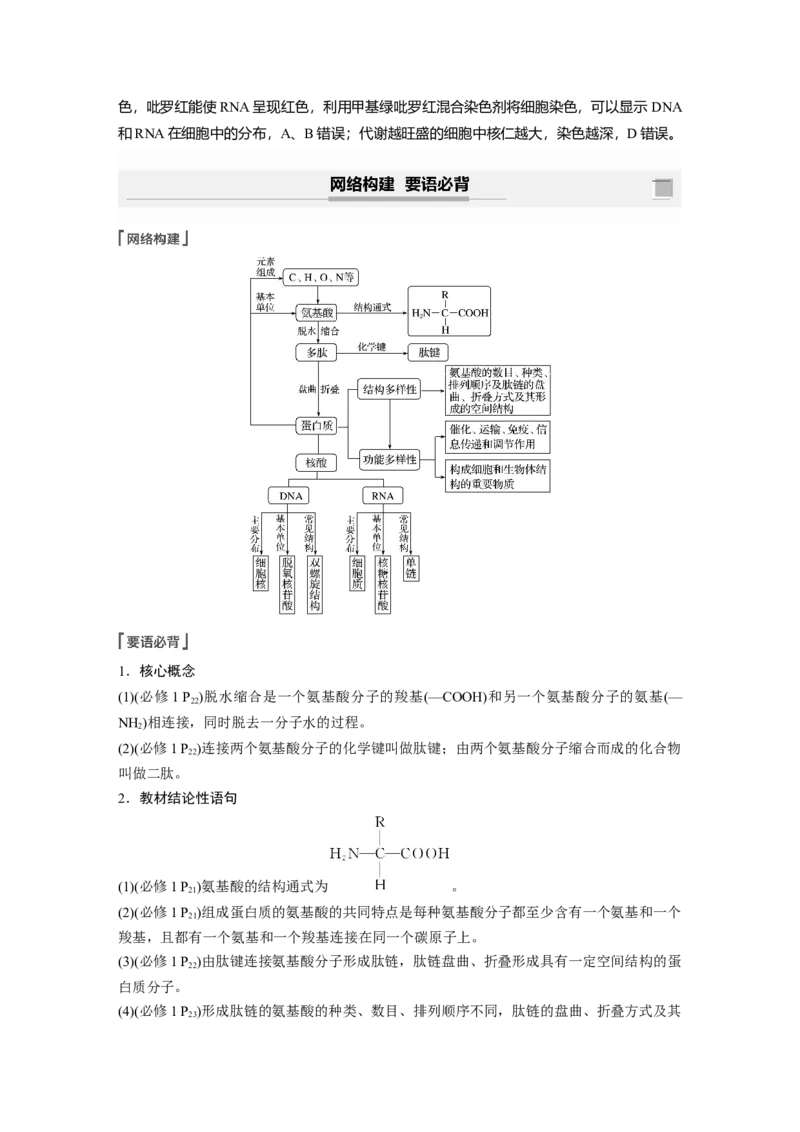 2022年高考生物一轮复习第1单元第3讲　蛋白质和核酸_新高考复习资料_2022年新高考复习资料_2022年一轮复习最新版_1.2022年高考生物一轮复习全国通用版