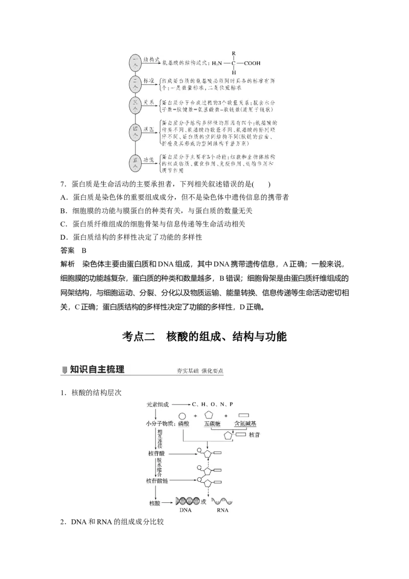2022年高考生物一轮复习第1单元第3讲　蛋白质和核酸_新高考复习资料_2022年新高考复习资料_2022年一轮复习最新版_1.2022年高考生物一轮复习全国通用版