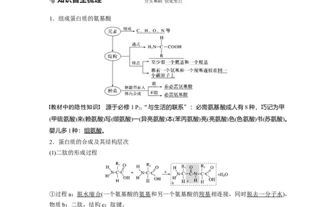 2022年高考生物一轮复习第1单元第3讲　蛋白质和核酸_新高考复习资料_2022年新高考复习资料_2022年一轮复习最新版_1.2022年高考生物一轮复习全国通用版