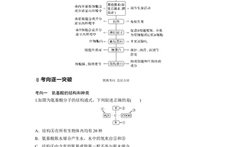 2022年高考生物一轮复习第1单元第3讲　蛋白质和核酸_新高考复习资料_2022年新高考复习资料_2022年一轮复习最新版_1.2022年高考生物一轮复习全国通用版