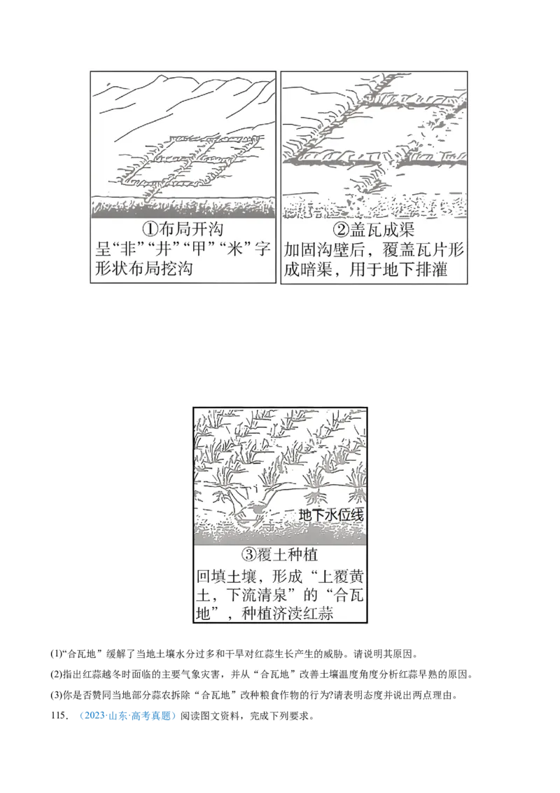 专题09农业+原卷版_2025年新高考资料_二轮复习_2025年高三地理高考二轮复习专项提升（新高考通用）3405802_真题演练