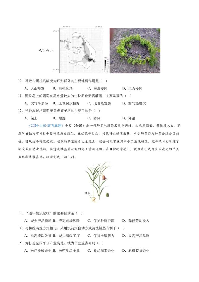 专题09农业+原卷版_2025年新高考资料_二轮复习_2025年高三地理高考二轮复习专项提升（新高考通用）3405802_真题演练