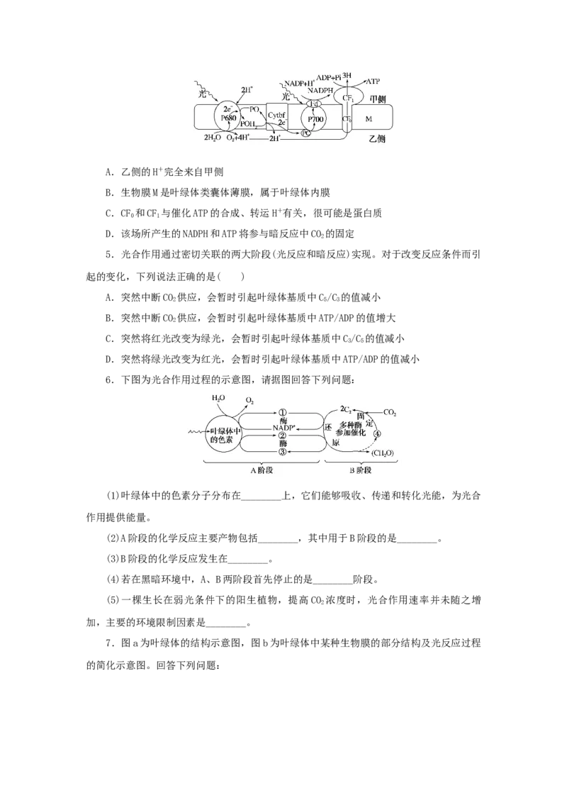 2023版新教材高考生物微专题小练习专练26光合作用的过程202208091191_通用版（老高考）复习资料_2023年复习资料_一轮复习_2023届高考生物一轮微专题100练