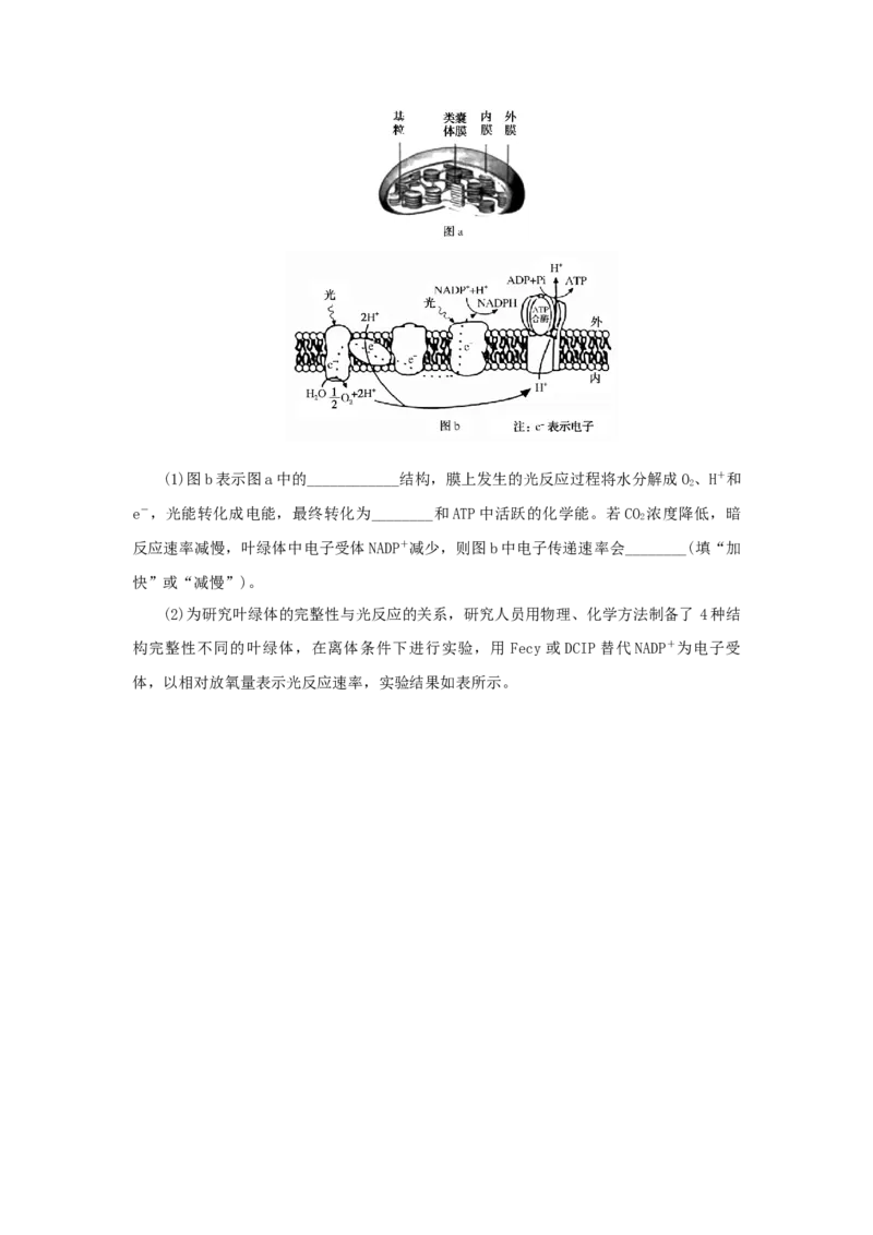 2023版新教材高考生物微专题小练习专练26光合作用的过程202208091191_通用版（老高考）复习资料_2023年复习资料_一轮复习_2023届高考生物一轮微专题100练