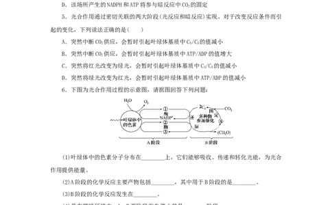 2023版新教材高考生物微专题小练习专练26光合作用的过程202208091191_通用版（老高考）复习资料_2023年复习资料_一轮复习_2023届高考生物一轮微专题100练