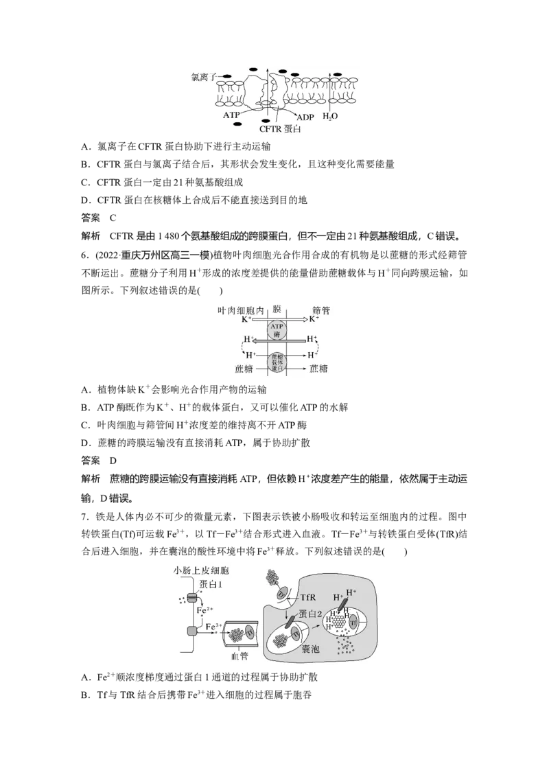 2023年高考生物一轮复习（新人教新高考）第2单元第6课时　物质出入细胞的方式及影响因素_新高考复习资料_2023年新高考复习资料_一轮复习_2023年新高考大一轮复习讲义